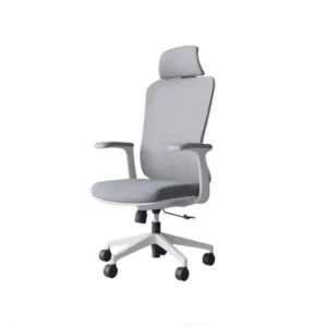 Sitora Ergonomic Chair with Adjustable Lumbar Support