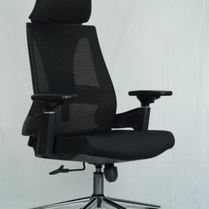 Ergonomic Sitora Premium Chair | Adjustable Lumbar Support