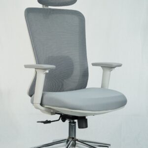 Ergonomic Sitora Premium Chair | Adjustable Lumbar Support