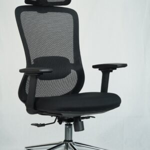 Ergonomic Sitora Premium Chair | Adjustable Lumbar Support