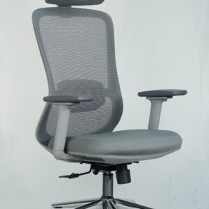 Ergonomic Sitora Premium Chair | Adjustable Lumbar Support