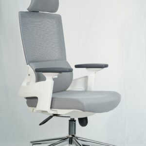 Ergonomic Sitora Premium Chair | Adjustable Lumbar Support