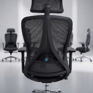 Ergonomic Premium Chair with Adjustable Lumbar Support and Headrest | Sitora