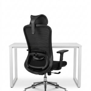 Premium Ergonomic Chair with 3D Armrests